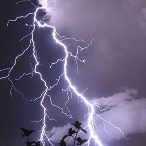 Meet your Posher, Hector